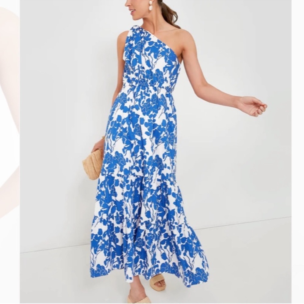 Tuckernuck Hyacinth House Blue and White Floral One Shoulder Dress - Picture 4 of 9